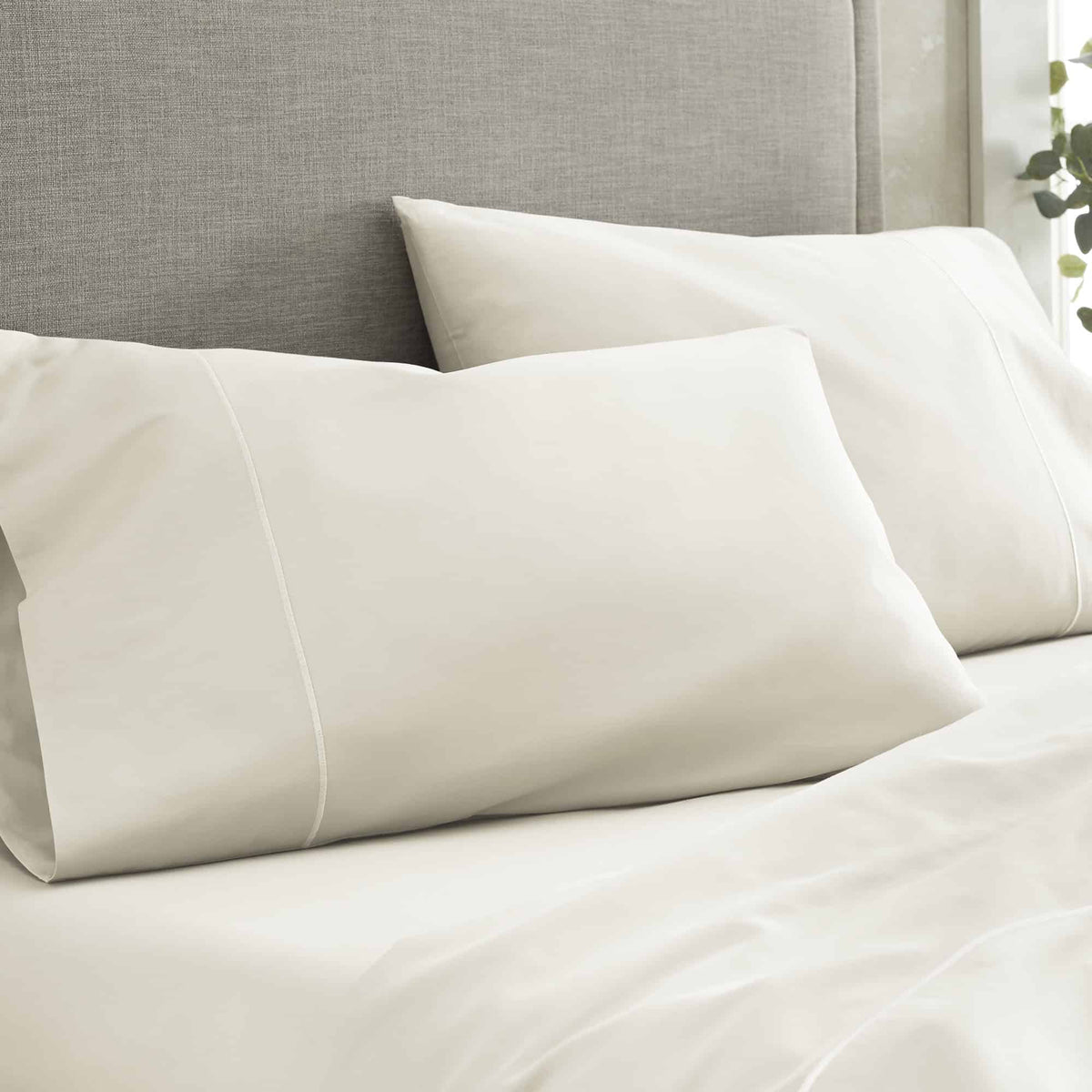 Whisper Organics 500-Thread-Count Sateen Cotton Sheet Set